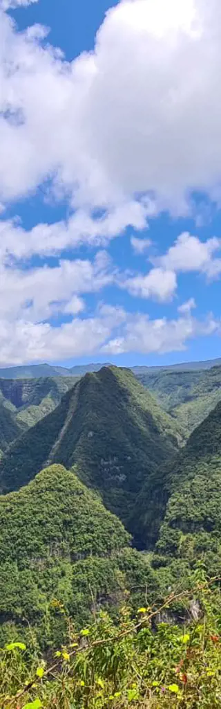 Aktiv auf La Réunion und faul auf Mauritius